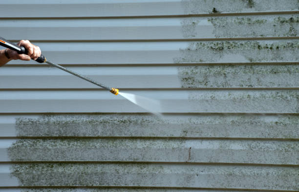 Best Solar Panel Cleaning  in Woodsboro, TX